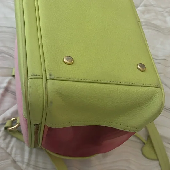 Juicy Couture Pink and Lime Pet Carrier - Picture 16 of 17